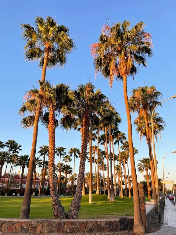 San Bartolomé Playa Del Ingles Vitamine D Garantie מראה חיצוני תמונה